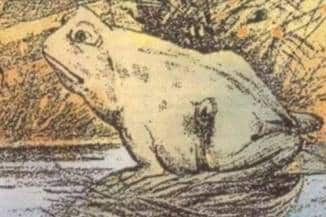 Frog