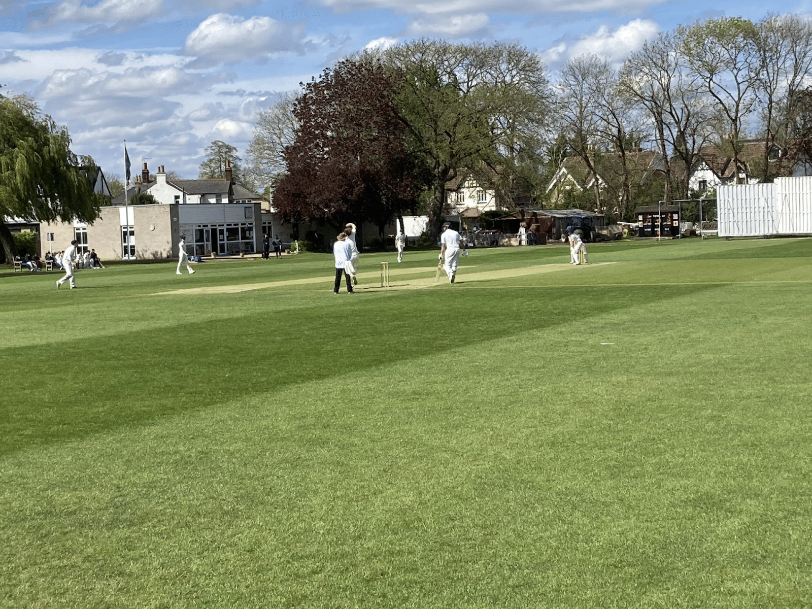 Cricket 2