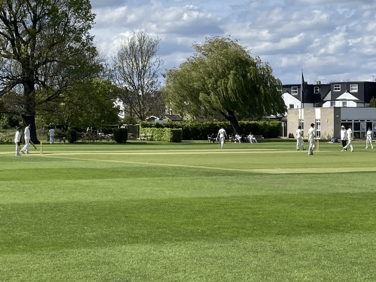 Cricket 3