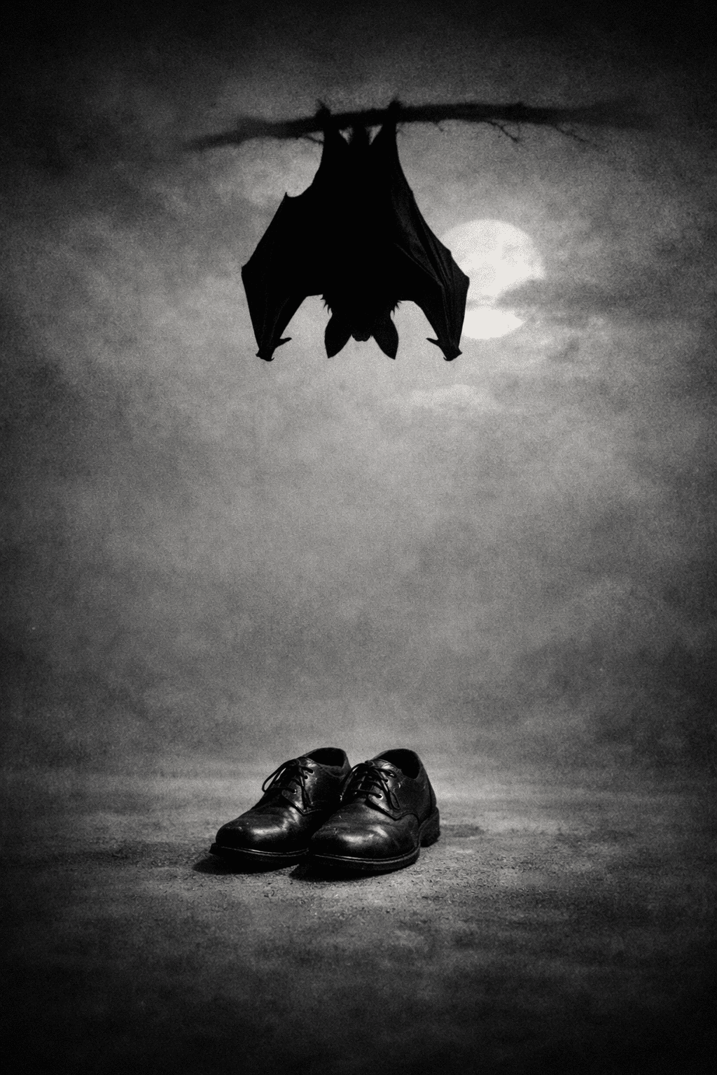 Bat